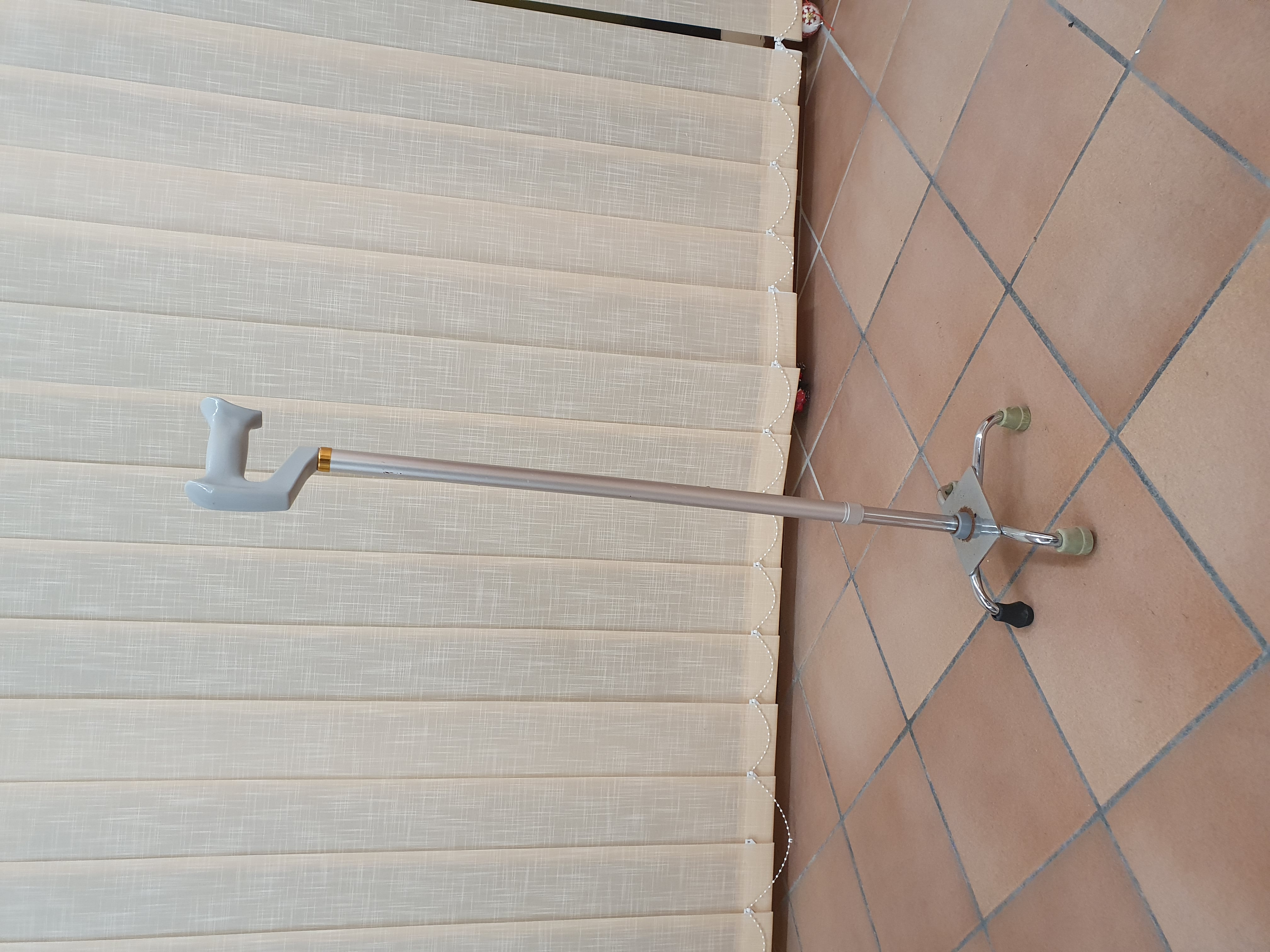 Bastone da passeggio - Art. 1