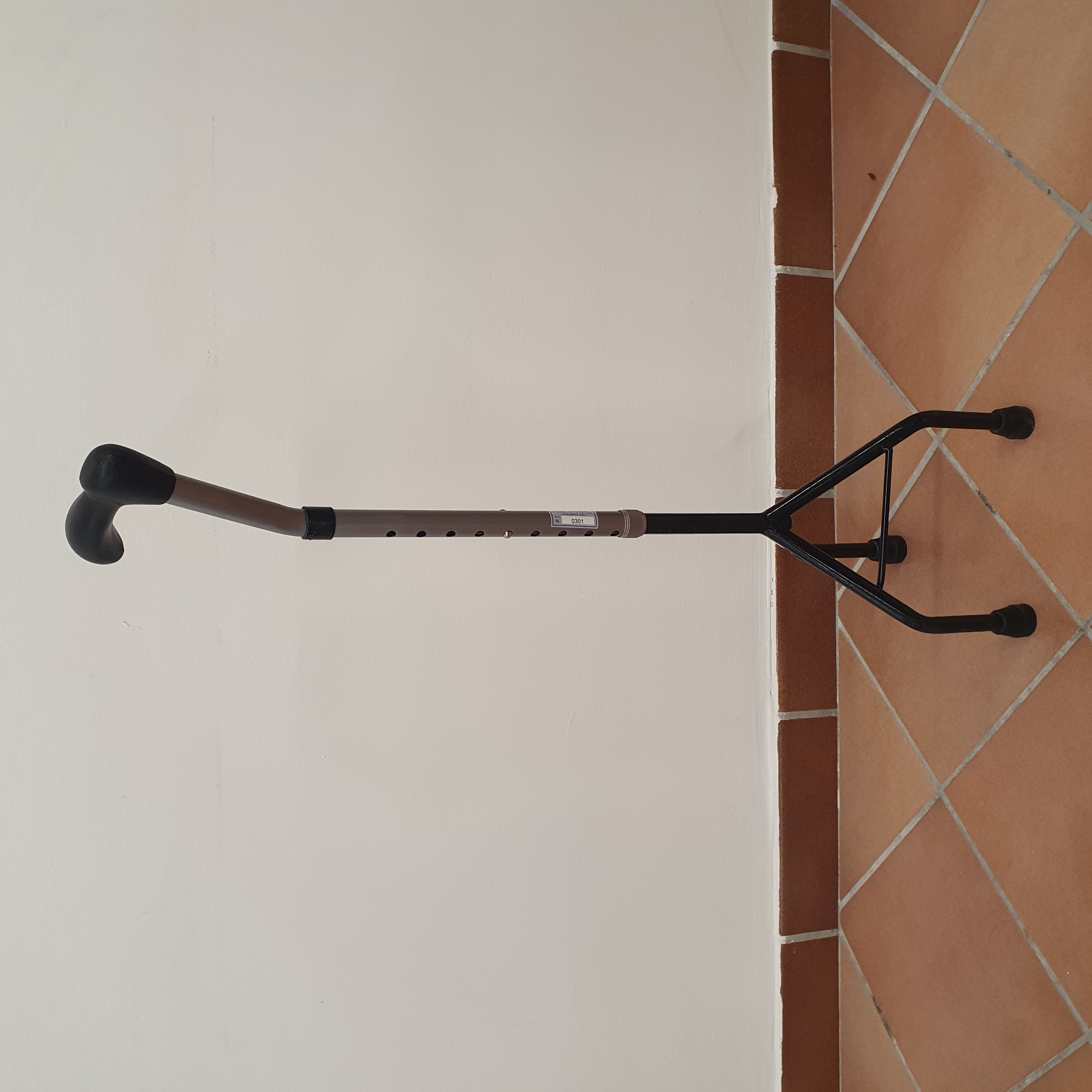  Art. 0301 Bastone
