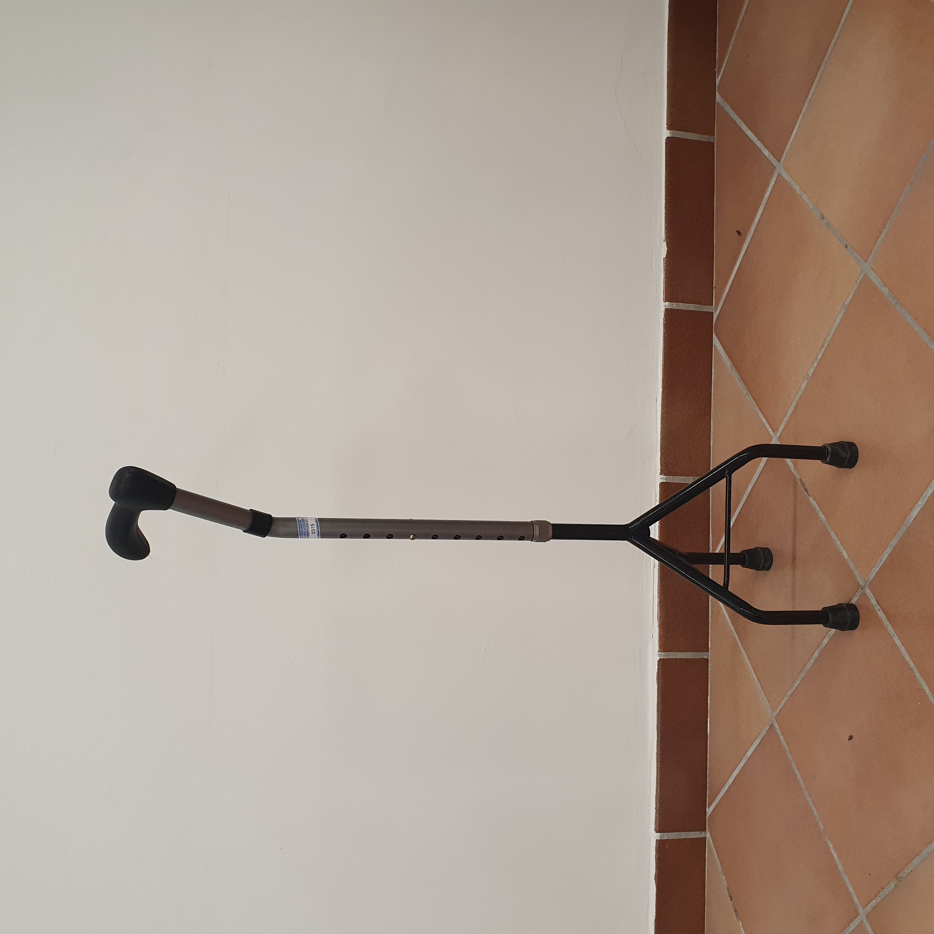 Art. 0315 Bastone